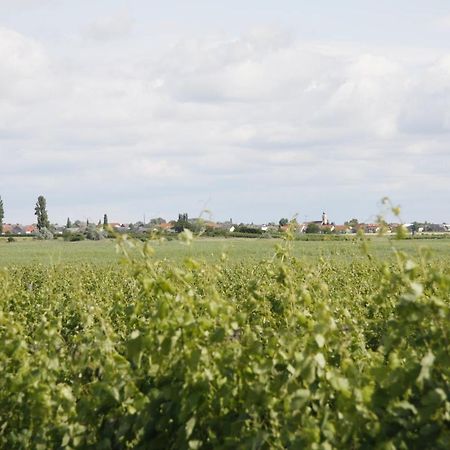 Pension & Weingut Storchenblick Illmitz Dış mekan fotoğraf